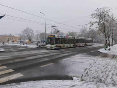 Çek Cumhuriyeti 'nin en havalı Prag Bölgesi Vltava Nehri' nin etrafındaki Ağaçlarla Karlı Doğa Gecesi