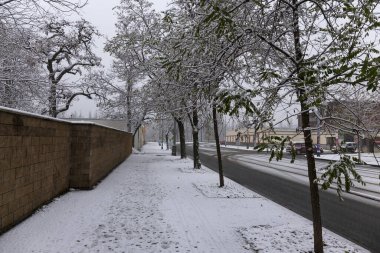 Çek Cumhuriyeti 'nin en havalı Prag Bölgesi Vltava Nehri' nin etrafındaki Ağaçlarla Karlı Doğa Gecesi