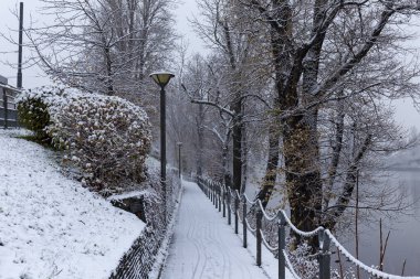 Çek Cumhuriyeti 'nin en havalı Prag Bölgesi Vltava Nehri' nin etrafındaki Ağaçlarla Karlı Doğa Gecesi