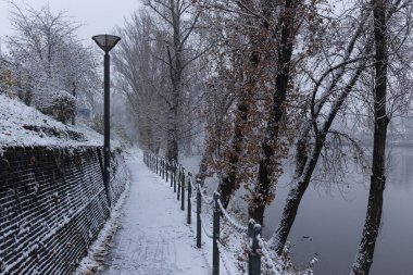 Çek Cumhuriyeti 'nin en havalı Prag Bölgesi Vltava Nehri' nin etrafındaki Ağaçlarla Karlı Doğa Gecesi