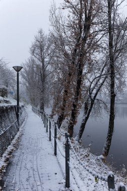 Çek Cumhuriyeti 'nin en havalı Prag Bölgesi Vltava Nehri' nin etrafındaki Ağaçlarla Karlı Doğa Gecesi