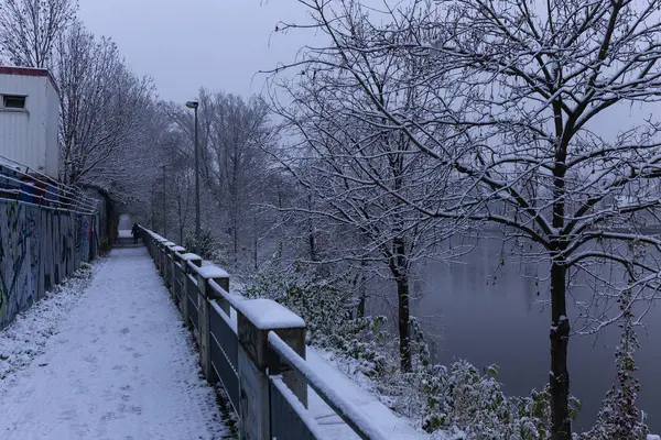 Çek Cumhuriyeti 'nin en havalı Prag Bölgesi Vltava Nehri' nin etrafındaki Ağaçlarla Karlı Doğa Gecesi