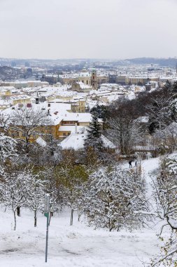 Çek Cumhuriyeti 'nin Petrin Tepesi' nden Karlı Prag Şehri