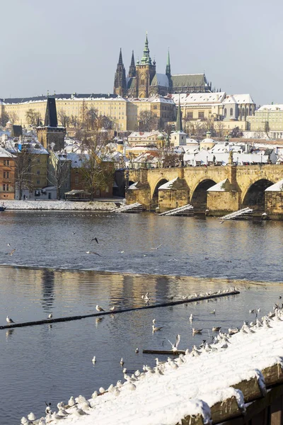 Prag Kalesi ve Vltava Nehri üzerindeki Charles Köprüsü ile Karlı Prag Küçük Kasabası, Çek Cumhuriyeti