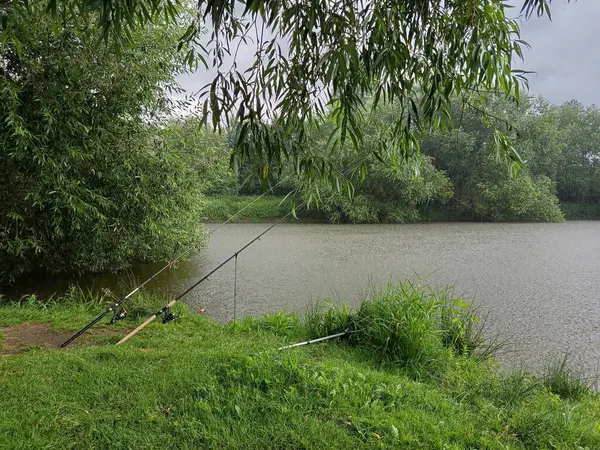 stock image Summer mood from the river Sazava, Czech Republic