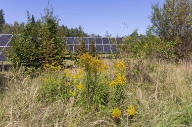 Sonbahar Manzarasında Güneş Enerji İstasyonu 