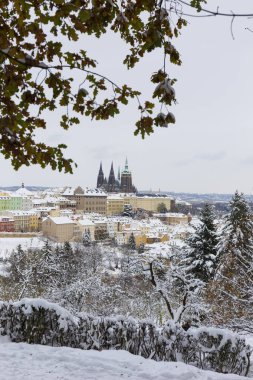 Çek Cumhuriyeti 'nin Petrin Tepesi' nden Gotik Şatosu ile Karlı Prag Şehri 