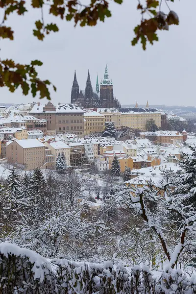 Çek Cumhuriyeti 'nin Petrin Tepesi' nden Gotik Şatosu ile Karlı Prag Şehri 