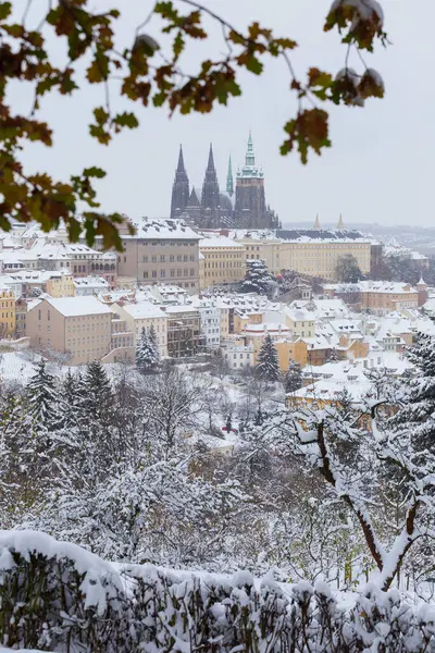 Çek Cumhuriyeti 'nin Petrin Tepesi' nden Gotik Şatosu ile Karlı Prag Şehri 