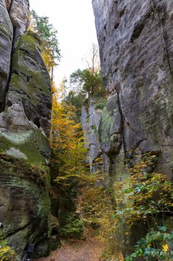 kolorowy krajobraz jesień w Czeskim Raju, Republika Czeska 