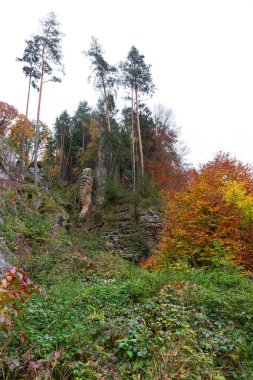 kolorowy krajobraz jesień w Czeskim Raju, Republika Czeska 