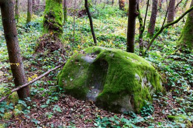 kolorowy krajobraz jesień w Czeskim Raju, Republika Czeska 