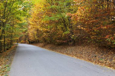 kolorowy krajobraz jesień w Czeskim Raju, Republika Czeska 