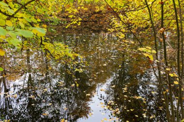 kolorowy krajobraz jesień w Czeskim Raju, Republika Czeska 
