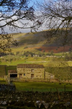 Kış güneşiyle aydınlanan bir vadide bulunan Ramshackle eski çiftlik evi. Yuvarlanan tepeler ve bulut gölgeleri, Hawes, Wensleydale, Yorkshire Dales, İngiltere, İngiltere..