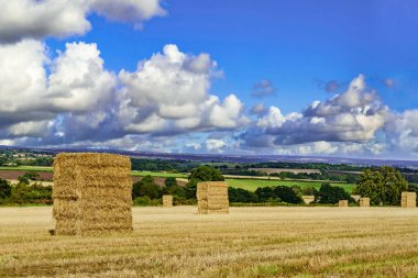 Helmsley, Kuzey Yorkshire, İngiltere yakınlarındaki sonbaharın habercisi olan uğursuz beyaz ve gri gökyüzünün altındaki çiftçi tarlasında devasa saman balyaları..