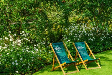 Arka planda beyaz Çin şakayığı çiçekleri ve yapraklı ağaçların olduğu bir çimenlikte iki yeşil iskemle, RHS Garden, Harlow Carr, Harrogate, Kuzey Yorkshire, İngiltere.