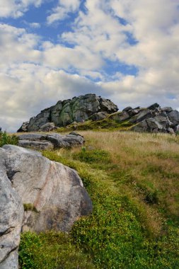 Kuzey Rigton, Yorkshire, İngiltere 'de otlaklar, aşınmış kayalar ve engebeli kaya oluşumları Almscliffe Crag' i oluşturur..