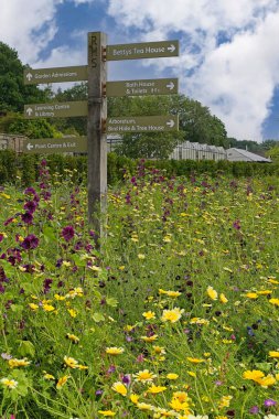 Canlı RHS Garden Harlow Carr kır çiçeği bahçesindeki işaret direği ziyaretçileri Harrogate, North Yorkshire, İngiltere 'ye yönlendiriyor..