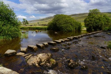 Basamaklar, Ingleton Şelalesi Patikası, Ingleton, Kuzey Yorkshire, İngiltere boyunca kayalık, sığ bir dağ deresini geçer..