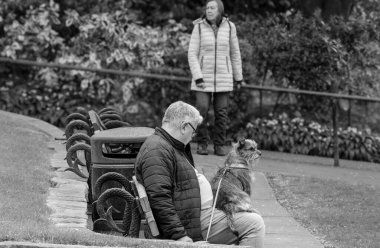 Son sınıf öğrencisi, sadık Sınır Teriyeri köpeği kucağında otururken sakin bir park anını paylaşıyor. Harrogate, Yorkshire, İngiltere.