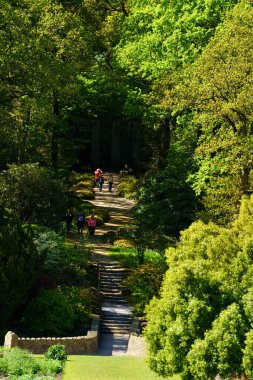 İnsanlar, İngiltere 'nin kuzeyindeki Harrogate, Harrogate, Kuzey Yorkshire' da bir bahçe yolunda merdivenlere tırmanıyor..