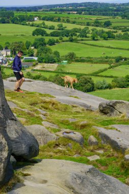 Bir adam ve köpeği, İngiltere 'nin Harrogate, Yorkshire, Harrogate, İngiltere manzarasına tepeden bakan Almscliffe Crag' da duruyorlar..