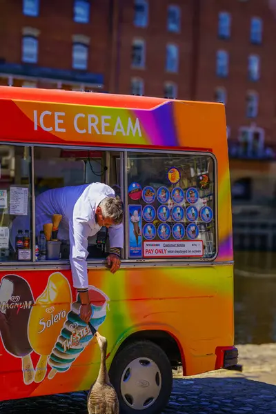 Renkli bir minibüsteki bir dondurma satıcısı servis penceresinden meraklı bir Greylag kazını besliyor, York, Yorkshire, İngiltere.