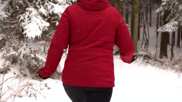 Dziewczyna Biegnie Przez Zimowy Las Myjąc Gałęzie Śniegiem — Wideo stockowe