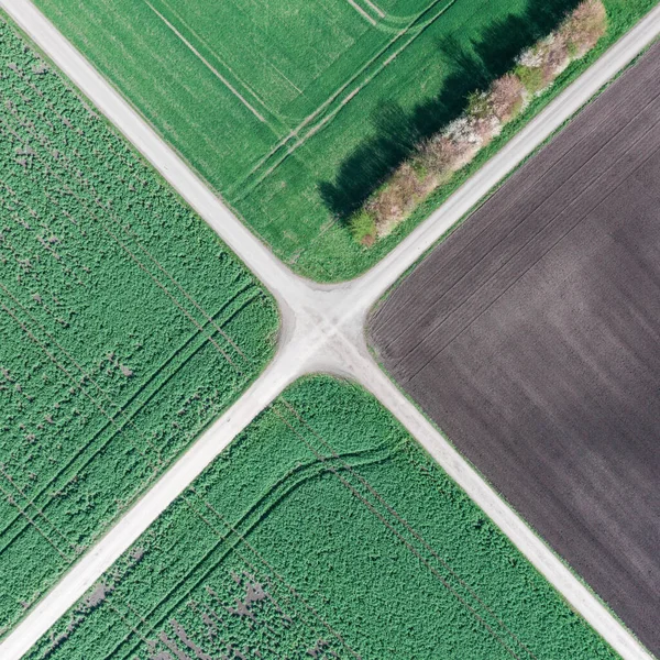 Top view of the cultivated fields. Field road crossroads.