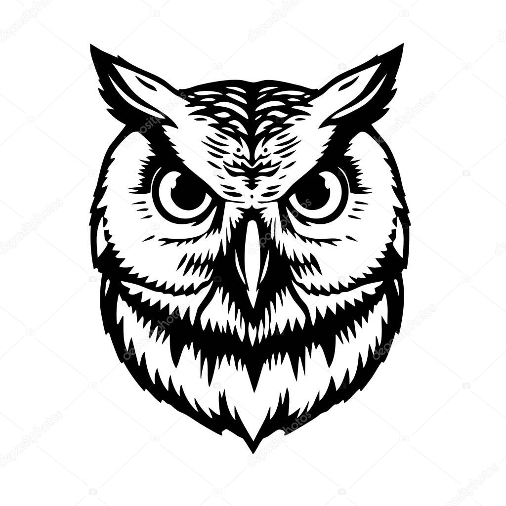 Owl face in stylized vector, minimal yet powerful, designed for logos or patches.