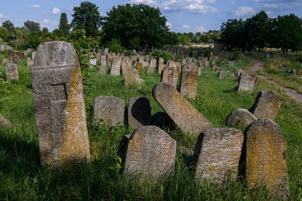 Antiguo Cementerio Judío Berdychiv Ucrania Julio 2023 Foto Alta Calidad — Foto de Stock