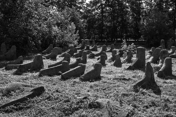 Antiguo Cementerio Judío Berdychiv Ucrania Julio 2023 Foto Blanco Negro — Foto de Stock