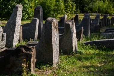 Berdychiv, Ukrayna 'daki eski Yahudi mezarlığı, Temmuz 2023. Yüksek kalite fotoğraf