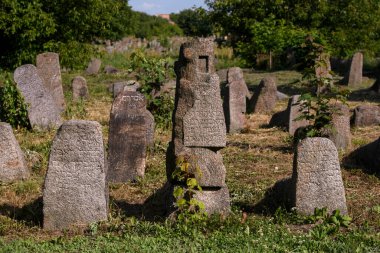 Berdychiv, Ukrayna 'daki eski Yahudi mezarlığı, Temmuz 2023. Yüksek kalite fotoğraf