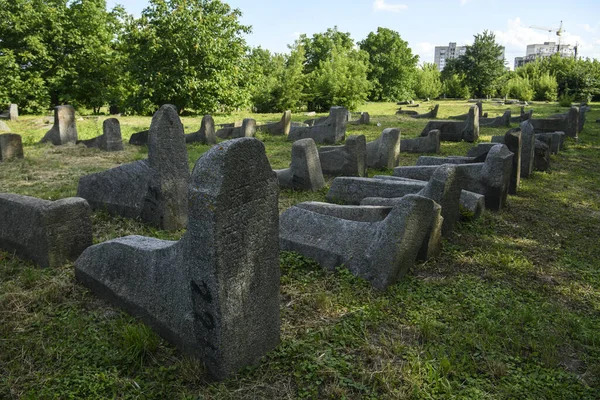 Antiguo Cementerio Judío Berdychiv Ucrania Julio 2023 Foto Alta Calidad — Foto de Stock