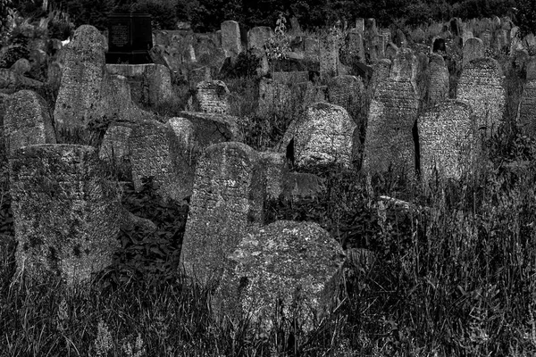 Antiguo Cementerio Judío Berdychiv Ucrania Julio 2023 Foto Blanco Negro — Foto de Stock