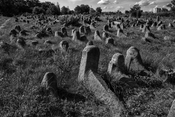 Vecchio Cimitero Ebraico Berdychiv Ucraina Luglio 2023 Foto Bianco Nero — Foto Stock