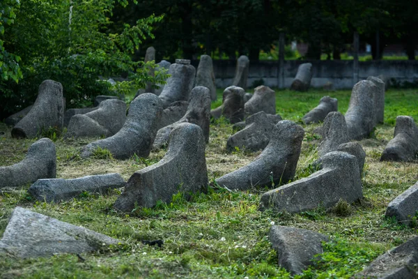 Старе Єврейське Кладовище Бердичеві Україна Липень 2023 Високоякісна Фотографія — стокове фото