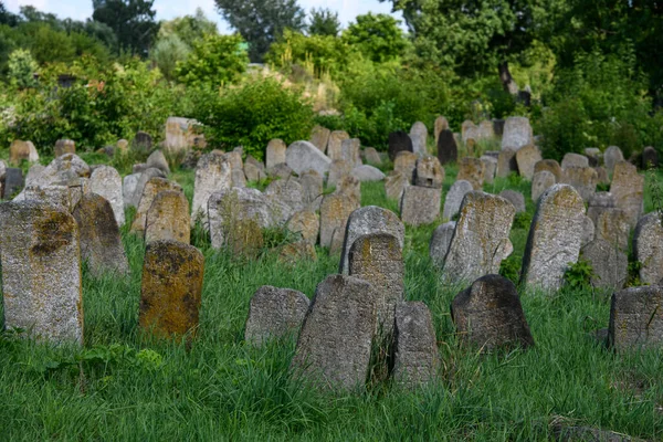 Berdychiv Ukrayna Daki Eski Yahudi Mezarlığı Temmuz 2023 Yüksek Kalite — Stok fotoğraf