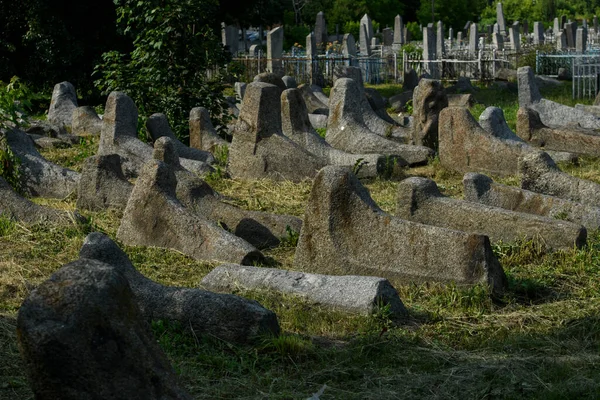 Старе Єврейське Кладовище Бердичеві Україна Липень 2023 Високоякісна Фотографія — стокове фото
