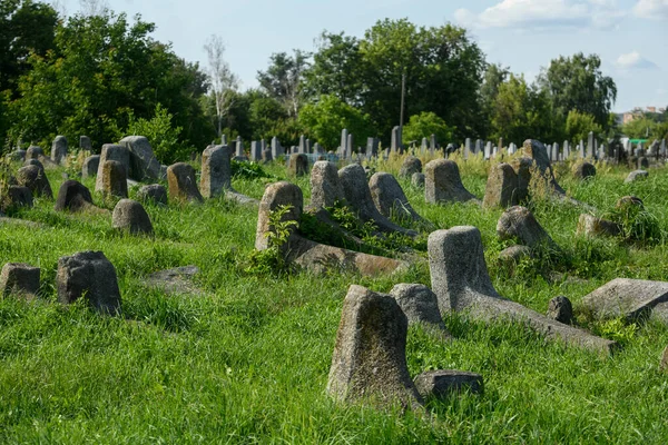 Старое Еврейское Кладбище Бердичеве Украина Июль 2023 Года Высокое Качество — стоковое фото