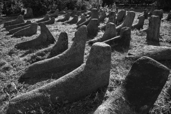 Berdychiv Ukrayna Daki Eski Yahudi Mezarlığı Temmuz 2023 Siyah Beyaz — Stok fotoğraf