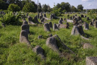 Berdychiv, Ukrayna 'daki eski Yahudi mezarlığı, Temmuz 2023. Yüksek kalite fotoğraf