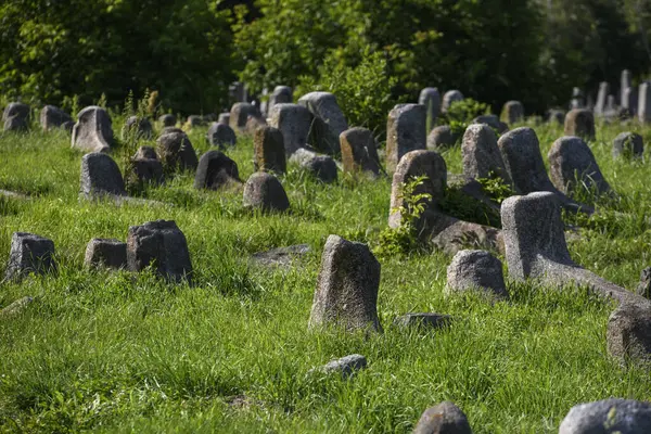 Antigo Cemitério Judaico Berdychiv Ucrânia Julho 2023 Foto Alta Qualidade — Fotografia de Stock