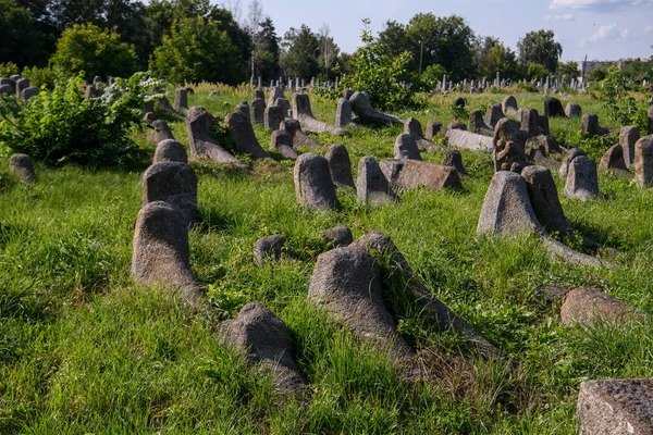 Παλιό Εβραϊκό Νεκροταφείο Στο Berdychiv Ουκρανία Ιούλιος 2023 Υψηλής Ποιότητας — Φωτογραφία Αρχείου