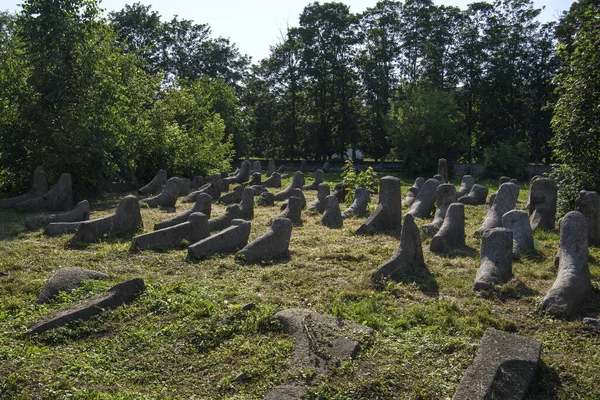 Starý Židovský Hřbitov Berdychově Ukrajina Červenec2023 Kvalitní Fotografie — Stock fotografie