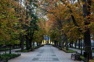 10 Ekim 2023 'te, Ukrayna' nın Odesa kentindeki İstanbul Parkı 'nda. Yüksek kalite fotoğraf