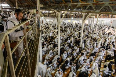 Aşırı Ortodoks Yahudi hacılar, Uman, Ukrayna 'da 17-09-2023' te, Rosh Hashanah bayramının arifesinde Haham Nachman 'ın mezarına yakın Bratslav Hasidim Sinagogunda dua ediyorlar.. 