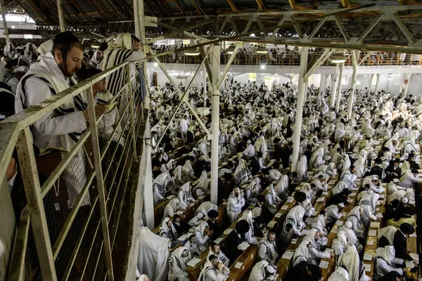 stock image Ultra-Orthodox Jewish Hasids pilgrims pray in Synagogue of Bratslav Hasidim close to tomb of Rabbi Nachman on the eve of Rosh Hashanah holiday, Jewish New Year, in Uman, Ukraine 17-09-2023. 